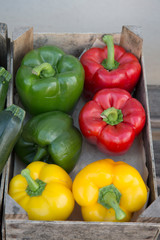 Red, Yellow and Green Peppers