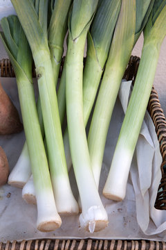 Leek for Sale on Market Stall