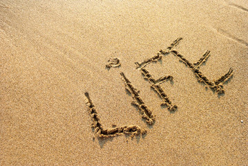 inscription on the wet sand life, footprints in the sand