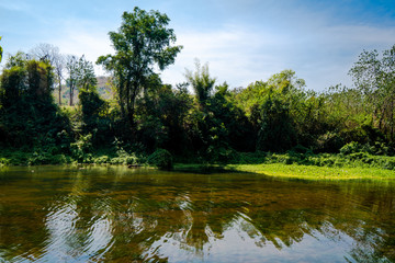 Beautiful summer landscape with forest mountain and lake. Outdoor travel on wild nature. Relax zone with fresh air and water. 