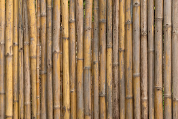 Background of bamboo, used for barrier, fence.