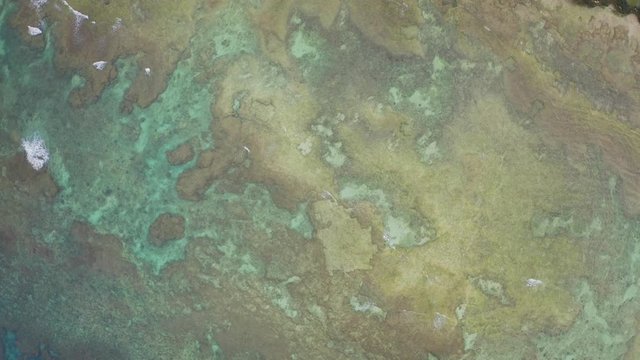 cool sea okinawa Japan