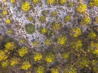 Sparsely vegetated barren landscape