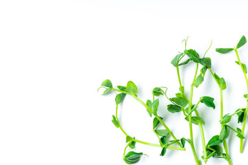 Fototapeta na wymiar Layout with pea shoots isolated on white background with copy space