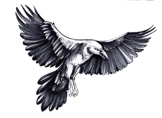 Sketch of flying raven. Hand drawn illustration