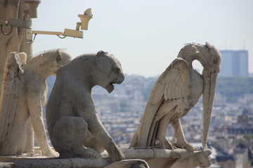 chimères à Paris