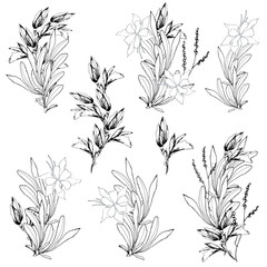 Vector flower sets. Black and white contour flowers drawn with ink on a white background. Bouquets. Sketch for tattoos, coloring.