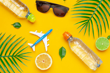 Clear water bottle and toy plane. Tourism and clear water concept