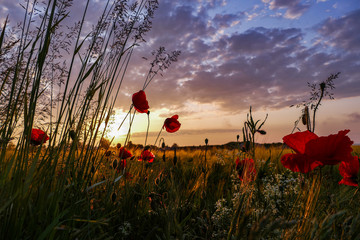 ammersee, bayern, sonnenaufgang und sonnenuntergang