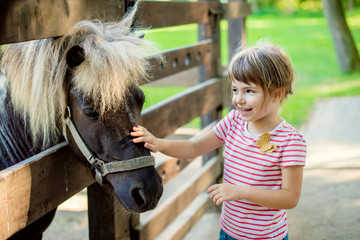 The little girl 3-4 years petting a pony through a wooden fence