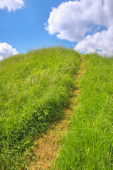 Ein Weg nach oben am sonnigen Tag