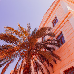 Orange hotel and palm tree in infrared style. Tropical travel concept. Minimalism