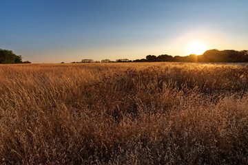 Nature reserve in La Rochelle coast. Charente Maritime