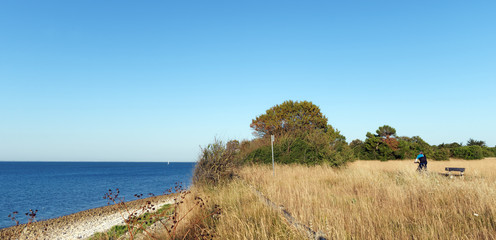 Nature reserve in La Rochelle coast