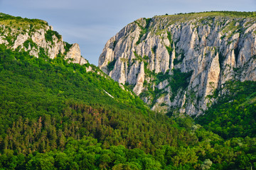 Turda Gorge (Cheile Turzii) entrance with massive, tall, rock walls, early in the morning, with sunrise light and green forest, during Summer. Popular hiking and climbing destination in Romania.