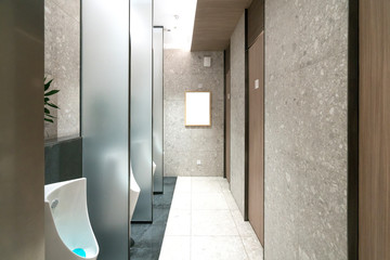 Deluxe bathroom in the mall