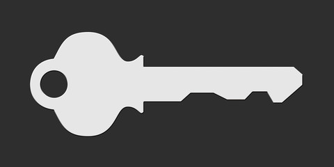 Key shape or symbol isolated on white.