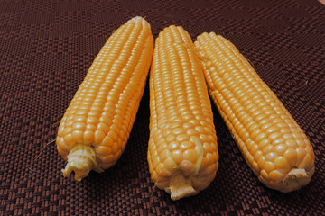 Top view of the three corn cobs on the tablecloth.