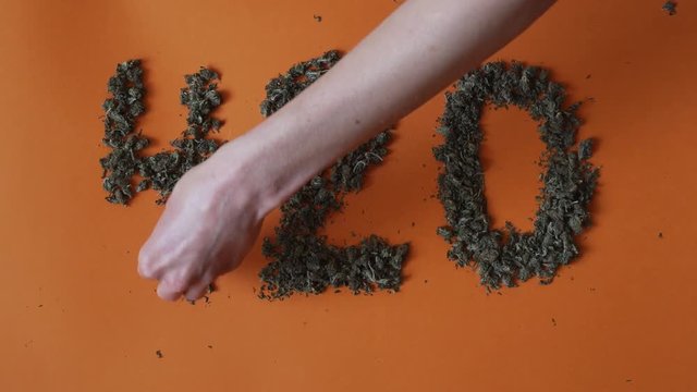 Top view female hands create a sign 420 from a hemp buds on red background