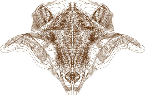 Abstrakte Illustration eines Widders
