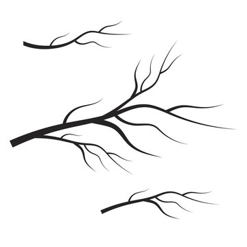 dead tree branch isolated. Vector tree branches silhouette
