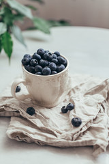 Blueberry in a old rustic style mug on white background