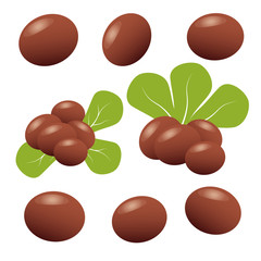 Shea nuts with shea butter and green leaves.