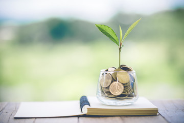 Coins in glass bottles have growing seedlings and placed on a notebook.Seedlings in a coin jar.Natural green background that saves money and investment finance concepts.With text input area.