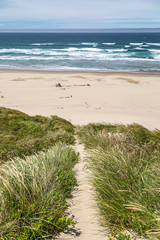 A marram grass lined pathway leading down a sand dune to a beach