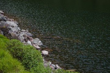 Costa en lago de zempoala