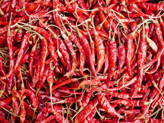 Red chili pepper background