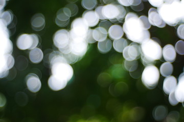 blurred nature background, green bokeh light background