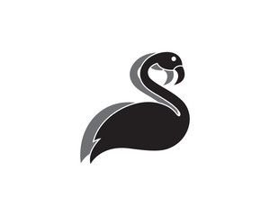 Flamingo bird illustration design