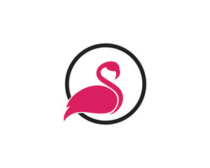 Flamingo bird illustration design