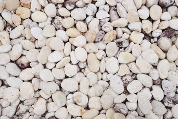 white stone background, white pebble beach stone