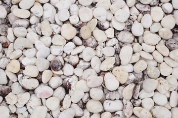 white stone background, white pebble beach stone