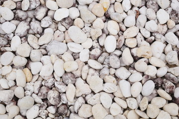 white stone background, white pebble beach stone