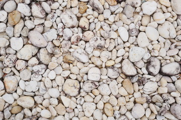 white stone background, white pebble beach stone