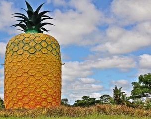 Giant Pineapple Structure Bathurst Eastern Cape South Africa