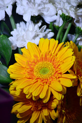 beautiful yellow flowers