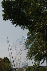 bubbles before backdrop of trees and blue sky