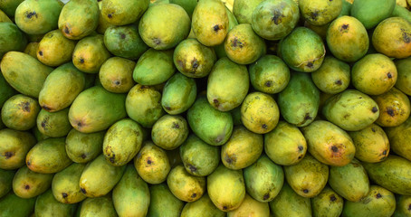 mango in india
