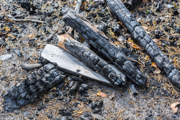 Charcoal left from the fire in forest.