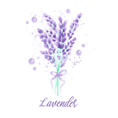 Lavender background with flowers. Watercolor imitation design with paint splashes Vector illustration Provence style. Drawing for greeting cards, invitations