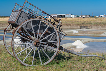 Marais des Ileaux 03