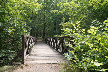 Obraz premium wooden bridge in the park