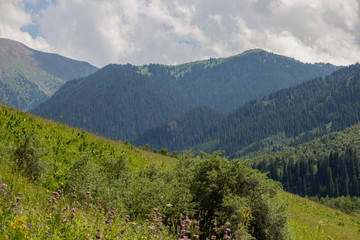 Naklejka premium Mountains near the city of Almaty, Kazakhstan. Summer in the mountains, Kaskelen Gorge