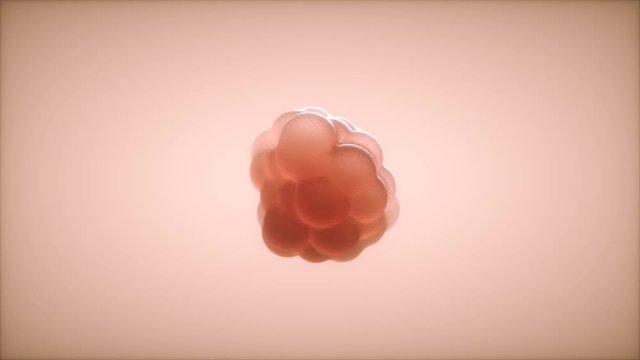 Cell growth - organism growing - 3D rendered animation