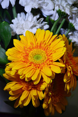 beautiful yellow flowers