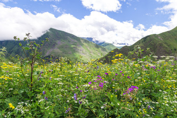 Amazing mountain landscape in Georgia on sunny summer day.